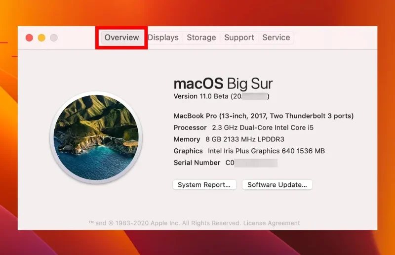 How to Check a Used MacBook Before Buying? Look at the Specs